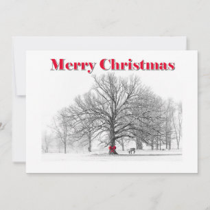 Large Winter Scene Red Bow Christmas Card (Flat)