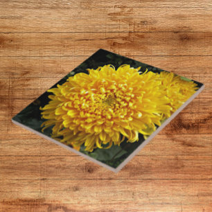 Large Yellow Chrysanthemum Floral Ceramic Tile