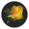 Large Yellow Rose