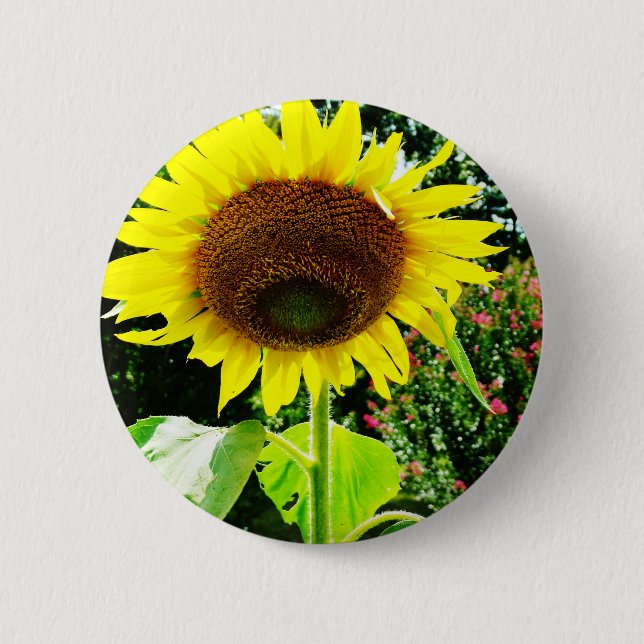 Large yellow Sunflower 6 Cm Round Badge (Front)
