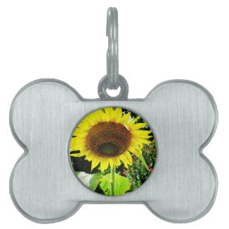 Large yellow Sunflower Pet Tag