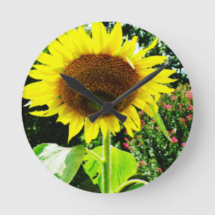 Large yellow Sunflower Round Clock