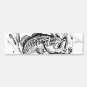 Largemouth bass bumper sticker