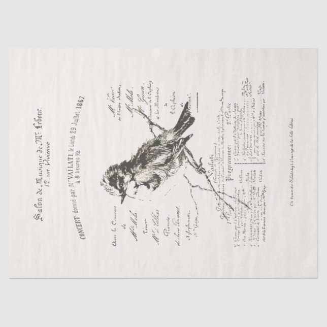 Larger French Music Salon Bird Script Tissue Paper (Front)