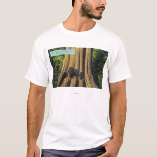 Largest Recorded Tree in BC 1896 Cedar Tree T-Shirt