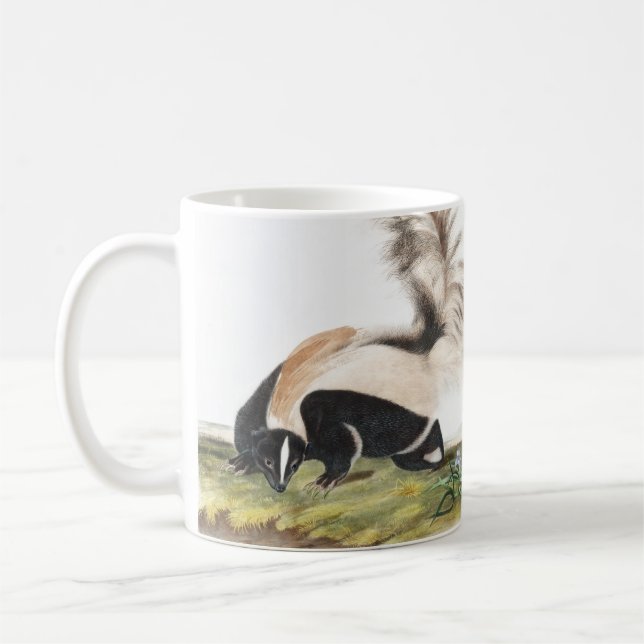 LargeTailed Skunk Mephitis macroura Illustration Coffee Mug (Left)