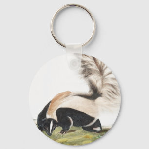 LargeTailed Skunk Mephitis macroura Illustration Key Ring