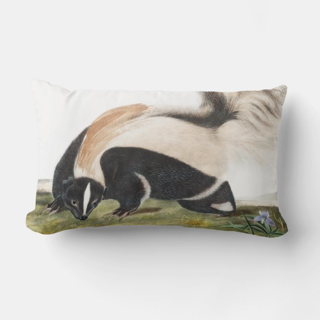 LargeTailed Skunk Mephitis macroura Illustration Lumbar Cushion (Front)