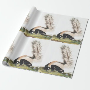 LargeTailed Skunk Mephitis macroura Illustration Wrapping Paper