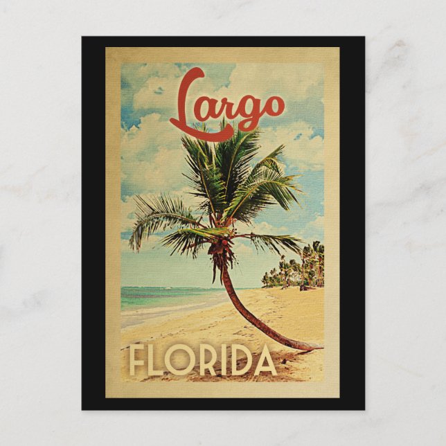 Largo Palm Tree Vintage Travel Postcard (Front)
