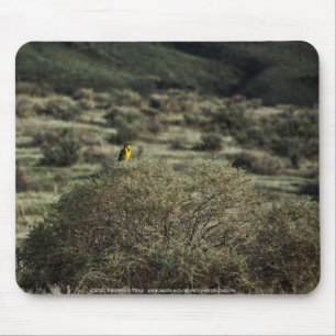 Lark on the Bush Mouse Pad