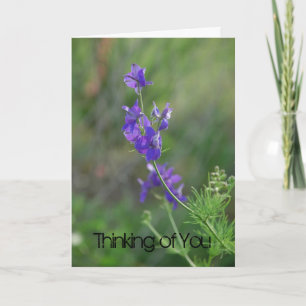Larkspur Feel Better Card
