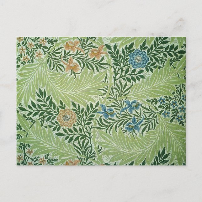 Larkspur Flower Victorian Postcard (Front)