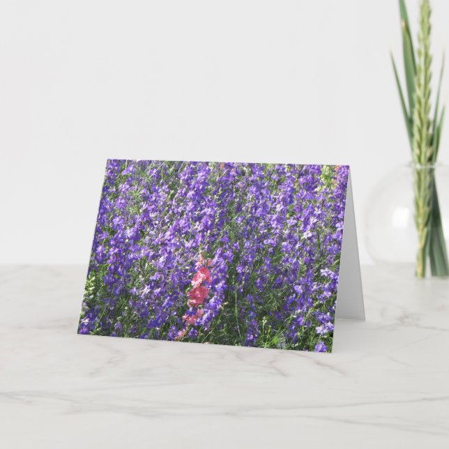 Larkspurs Card (Front)