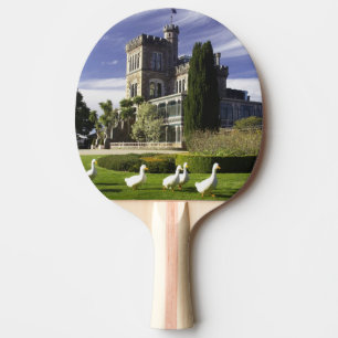 Larnach Castle, Otago Peninsula, Dunedin, Ping Pong Paddle