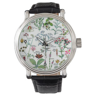 Larousse Digestive Plants Painting Watch
