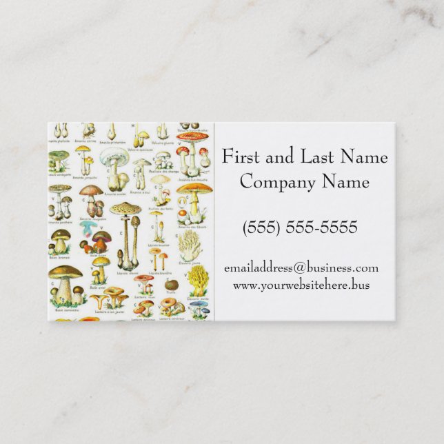 Larousse Mushroom Fungus Nature Art Painting Business Card (Front)