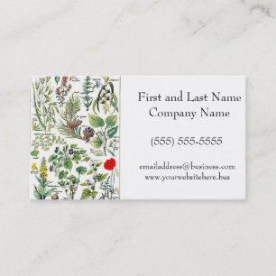 Larousse Pine Cone Tree Forest Nature Art Business Card