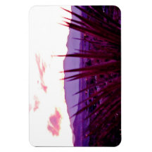 Las Vegas Skyline Residential Mountain View #1