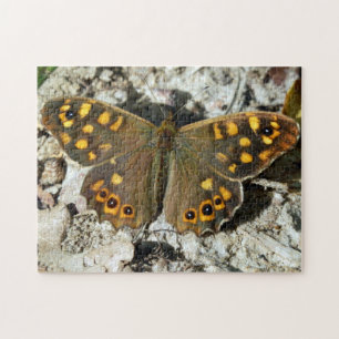 Lasiommata Westwood Butterfly Photo Puzzle