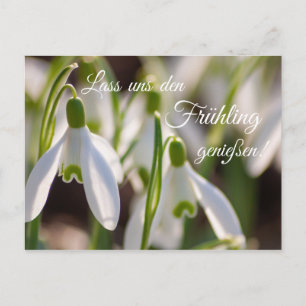 Lass uns den Frühling genießen! Postcard