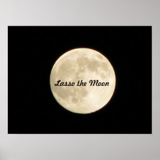 Lasso the Moon Poster