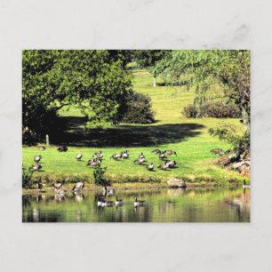 last days of summer postcard