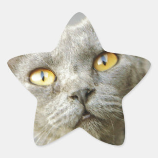 Last Hope's Jean Grey Star Sticker