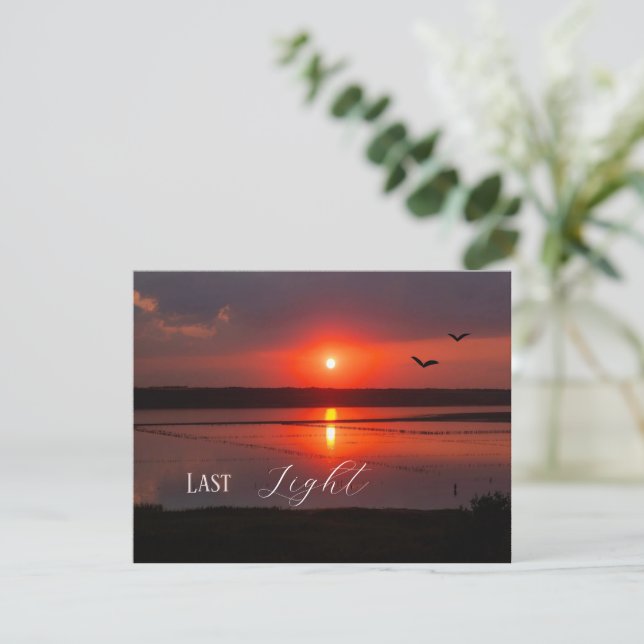 Last Light | Summer Sunset Postcard (Standing Front)