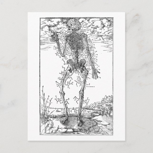 Last Nerve - Halloween Skeleton Postcard (Front)