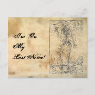 Last Nerve - Halloween Skeleton Postcard