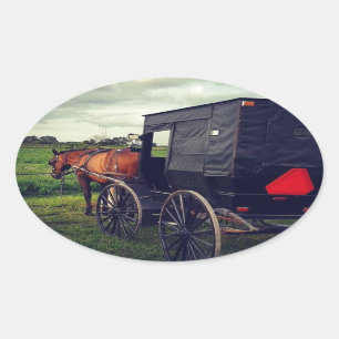 Last Night in an Amish community, Amish Horse Oval Sticker
