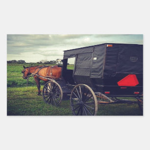 Last Night in an Amish community, Amish Horse Rectangular Sticker