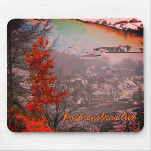 Last of the Autumn Leaves in Newtown, Powys Mouse Pad