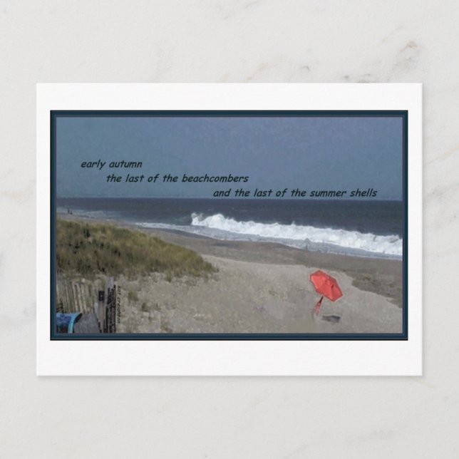 Last of the Beachcombers Postcard (Front)