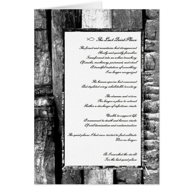 Last Quiet Place (Front)