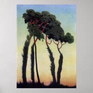LAST RAYS POSTER