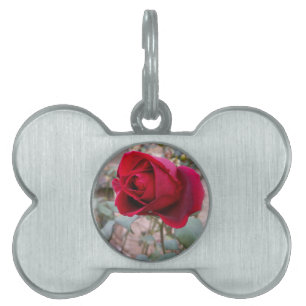 last red rose pet ID tag