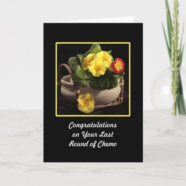 Last Round of Chemo Congratulations Card Primroses (Front)