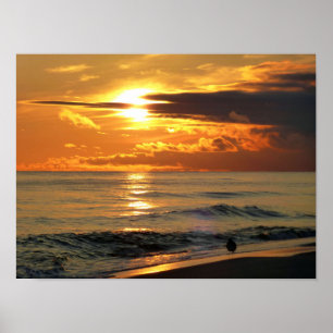 Last Sandpiper Poster