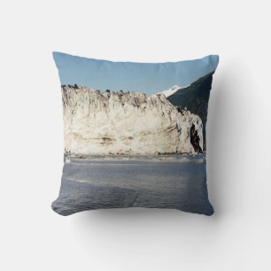 Last Snow Cushion