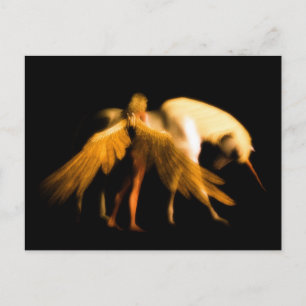 Last Unicorn Postcard