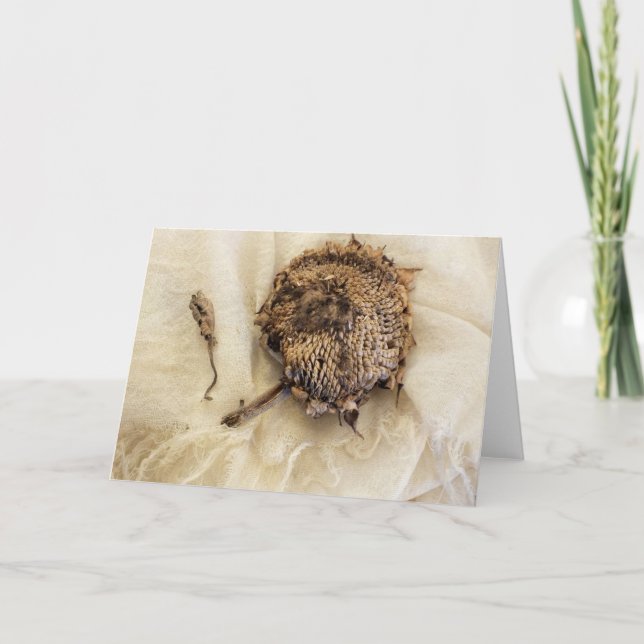 "Last Year" Old Dried Sunflower Head on Fabric Card (Front)