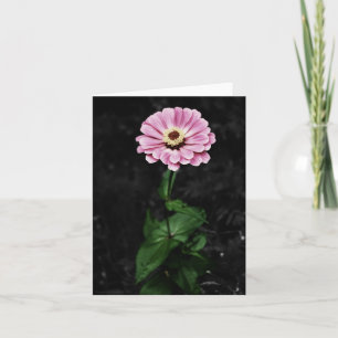Lasting Impression Card