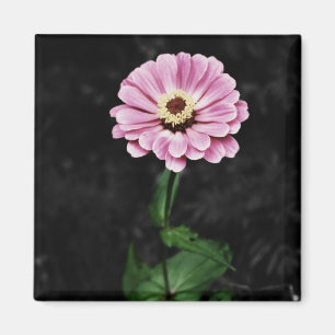 Lasting Impression Magnet