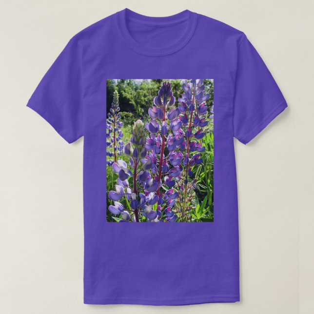 Late Afternoon Lupins T-Shirt (Design Front)