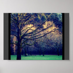 Late Autumn at Oxbow Regional Park Poster
