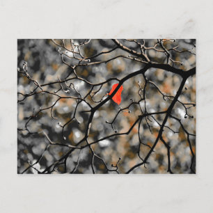 Late Autumn Postcard