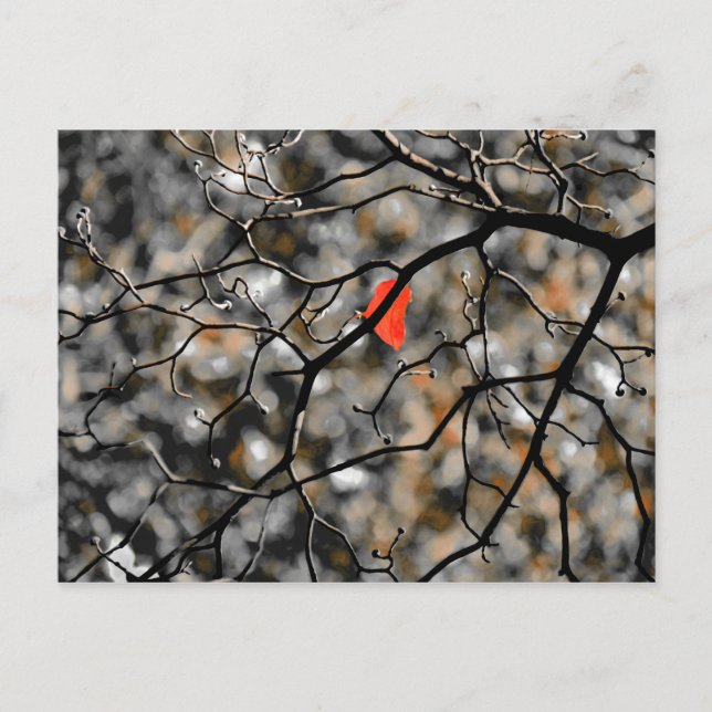 Late Autumn Postcard (Front)