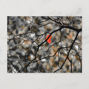 Late Autumn  Postcard